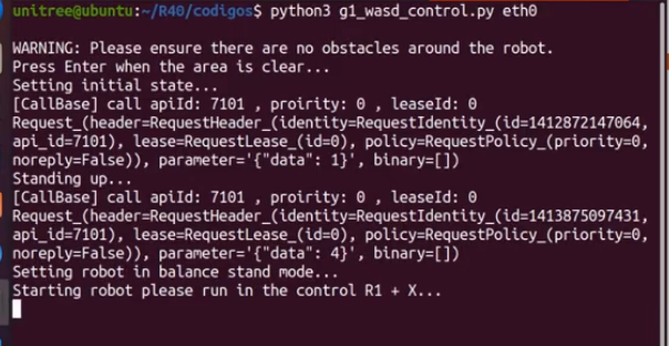 Interacción terminal ejemplo wasd